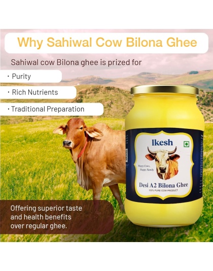 Ikesh Premium Cow Ghee | Traditional Bilona Method | Natural &amp; Healthy | Lab Certified Ghee 1 Ltr